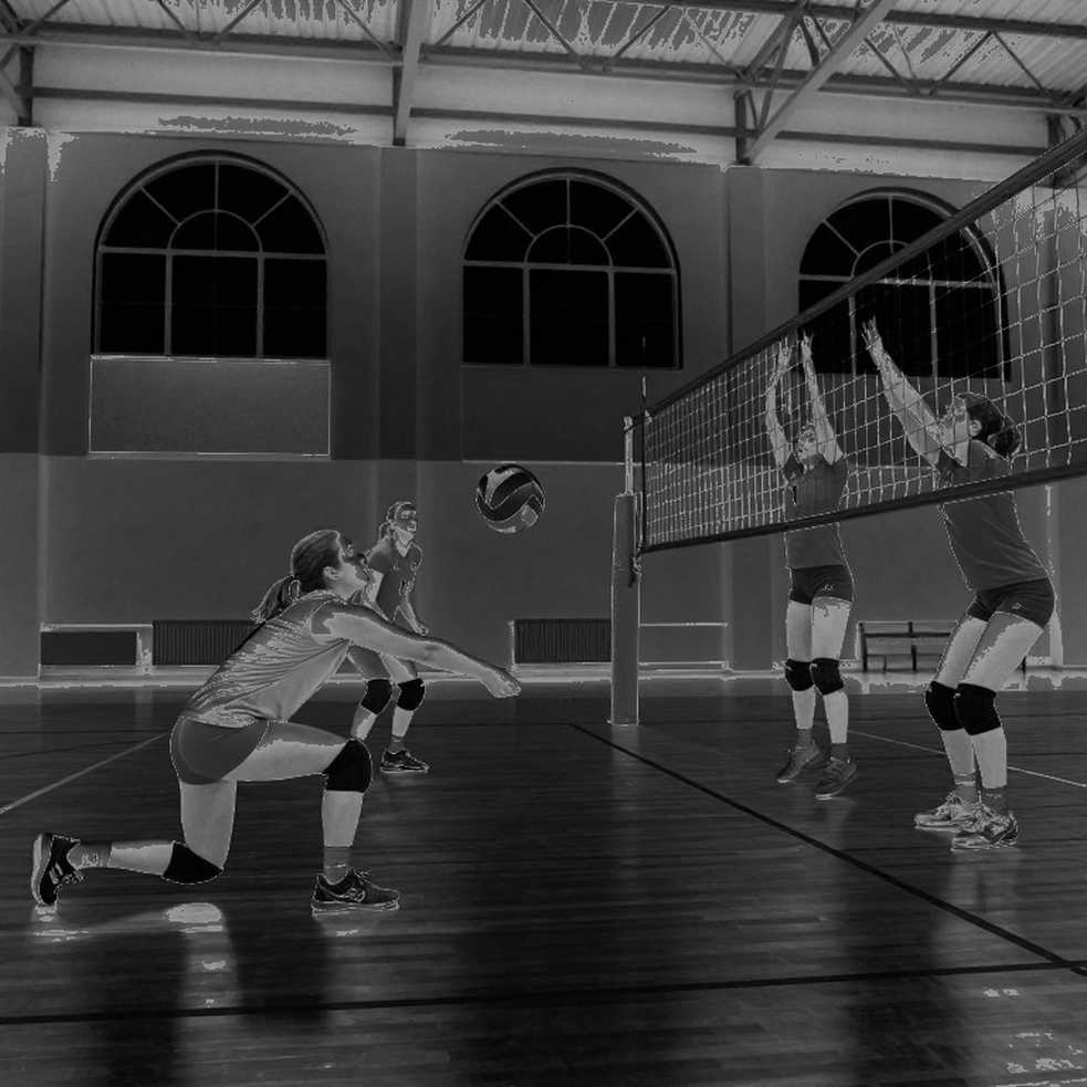 Chín tầng dữ liệu giải mã một trận bóng chuyền