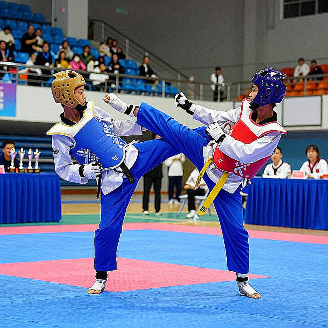 Chuncheon 2026: The Synchronised Rhythm of Vietnam's Taekwondo Poomsae and the Name That Kept the Beat Across Two Cycles Chuncheon 2026: The Synchronised Rhythm of Vietnam's Taekwondo Poomsae and the Name That Kept the Beat Across Two Cycles