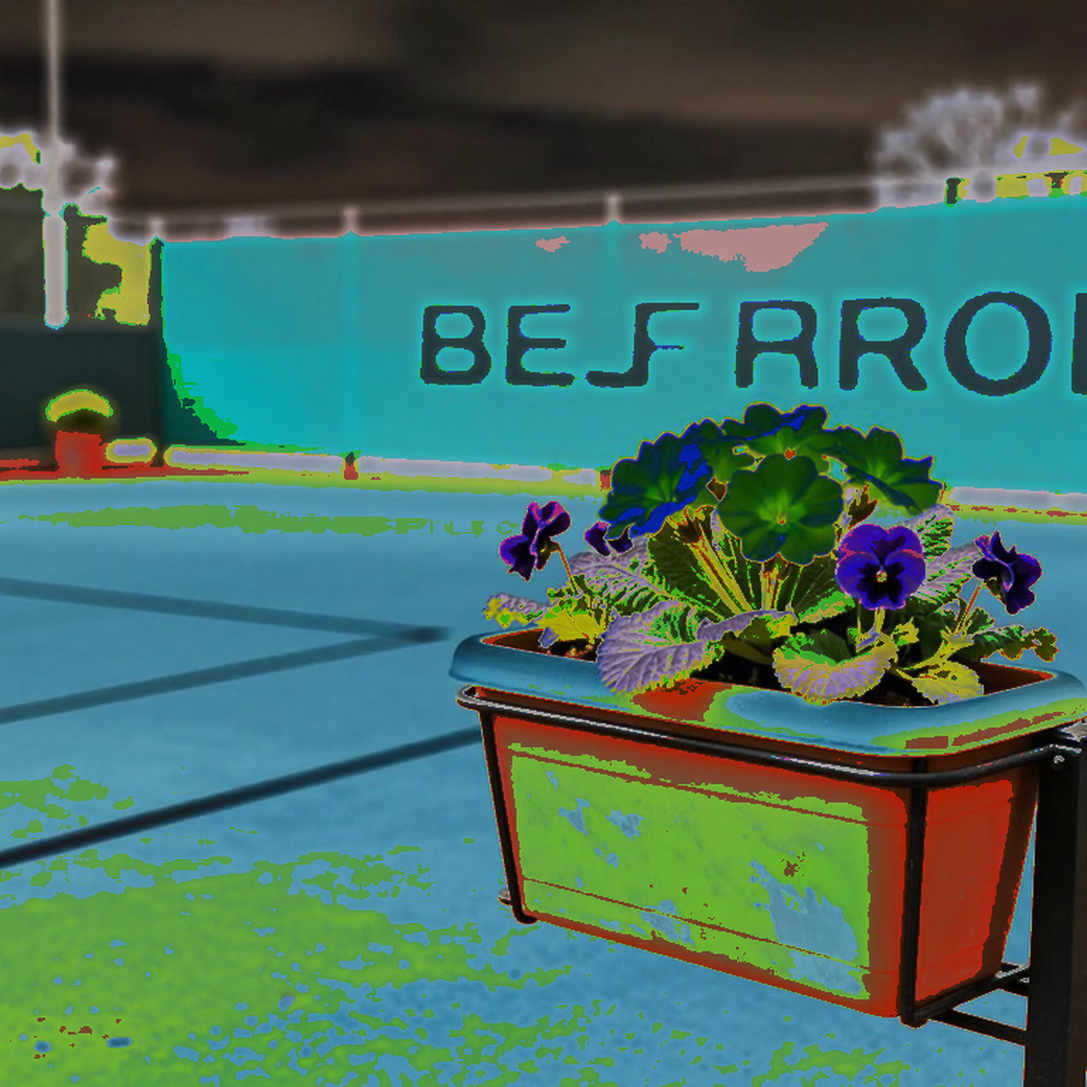 Djokovic ở Bắc Kinh: chiến thắng không trả lời được câu hỏi lớn nhất về cơ thể