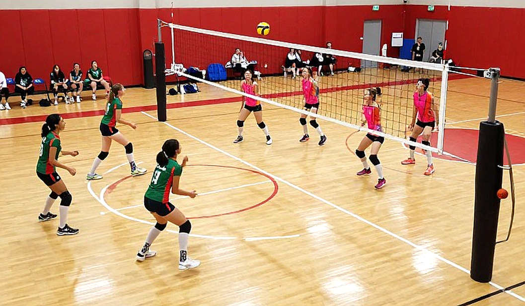 The Night a .455 Hitting Percentage Could Not Save Stanford: When American College Volleyball Punishes Structural Dependency The Night a .455 Hitting Percentage Could Not Save Stanford: When American College Volleyball Punishes Structural Dependency